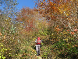 紅葉の登り坂が続く