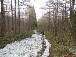 雪が残る遊歩道