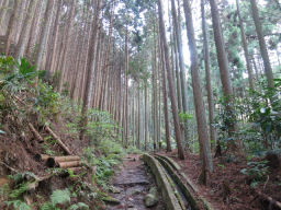 天狗谷に入る