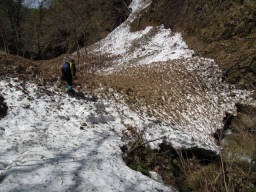 雪の下は小国川