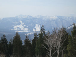 山肌のスキー場