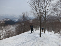 尾根をスキーで登る