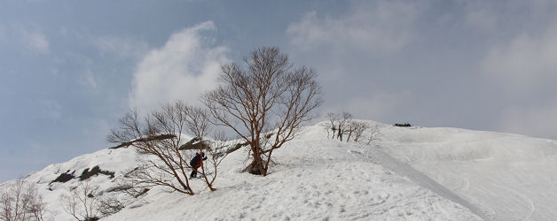 急登の尾根を登る