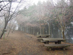 登山道には休憩ベンチがある