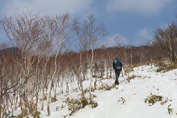 ときどき雪を踏み抜く