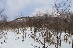 正面に釈迦ヶ岳