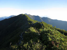 目の前に小太郎山ピーク