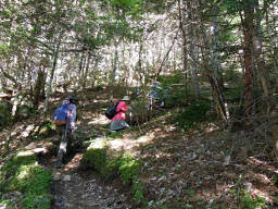 樹林帯の登りをゆっくりと