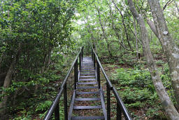 鷲ヶ峰への階段