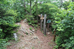 鷲ヶ峰の三角点