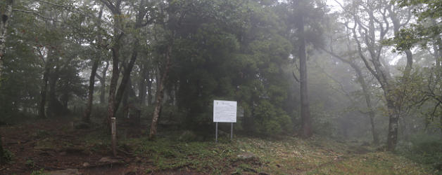 山頂は樹林帯