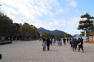 島に上陸、厳島神社方面へ進む