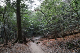 紅葉谷公園の中を通る