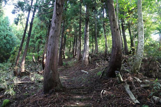 急坂が続く