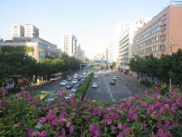 植物のある解放南路の陸橋