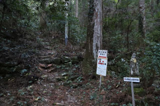 薄暗い山道へ