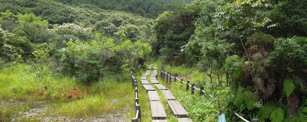 葦毛湿原の木道