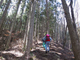 山頂への最後の登り