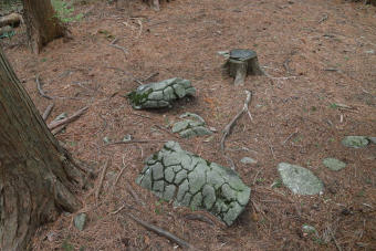 亀の甲岩