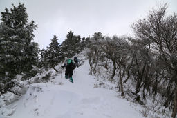 山頂まで急登が続く