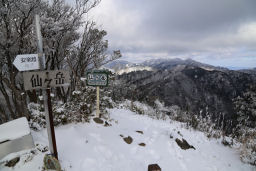 仙ヶ岳山頂