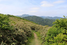 マトネから金北山へ