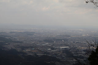 福岡市を一望