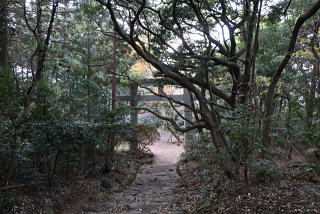 何度も鳥居をくぐって下山