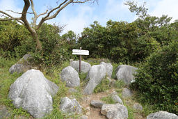 大平山山頂