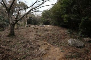 白木峠からの登り