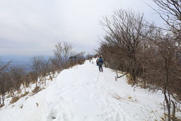 雪道が続く