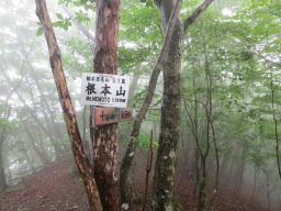 根本山山頂