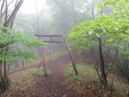 朽ちた鳥居をくぐる