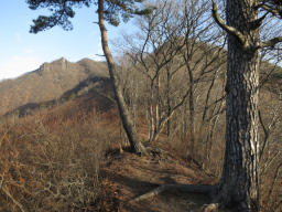 正面に小野子三山