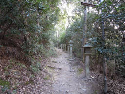 燈籠が並ぶ山道