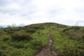 山頂は近い