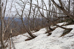 白兀山の下りから雪道となる