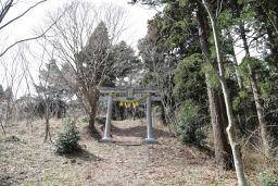 鳥居から登りになる