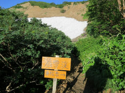 まだ残る雪渓