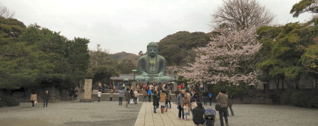 観光客で賑わう高徳院