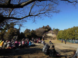 大平山は憩いの場