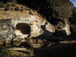 瑞泉寺庭園