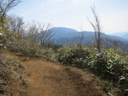 ひと登りすると眺望