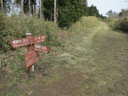 宮城野への分岐