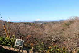 関東の富士見百景