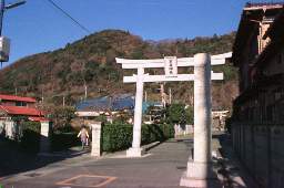 高来神社の鳥居と高麗山
