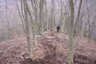 photo 192*128