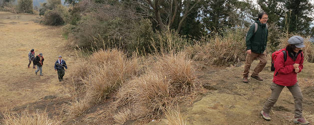 大平山のひな壇を登る