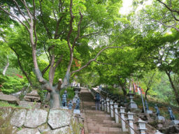 大山寺への階段