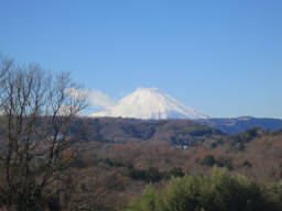 渋沢丘陵からの富士